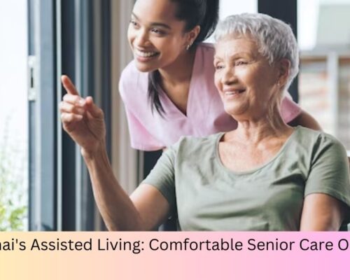 Chennai's Assisted Living: Comfortable Senior Care Options